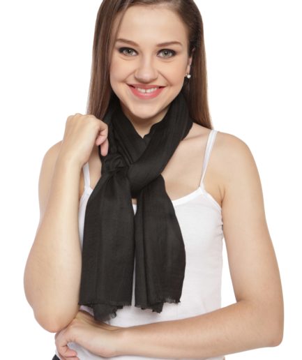 Modal Pashmina Shawls