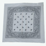 Paisley Printed Bandana