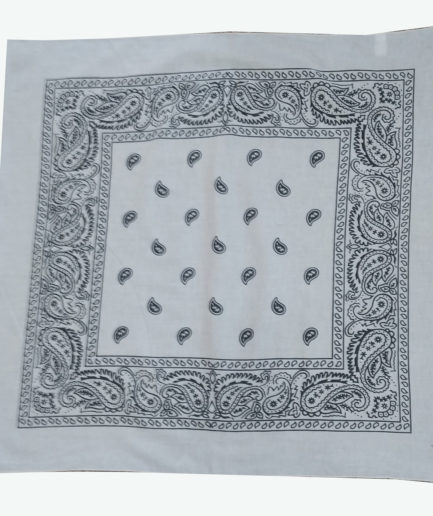 Paisley Printed Bandana