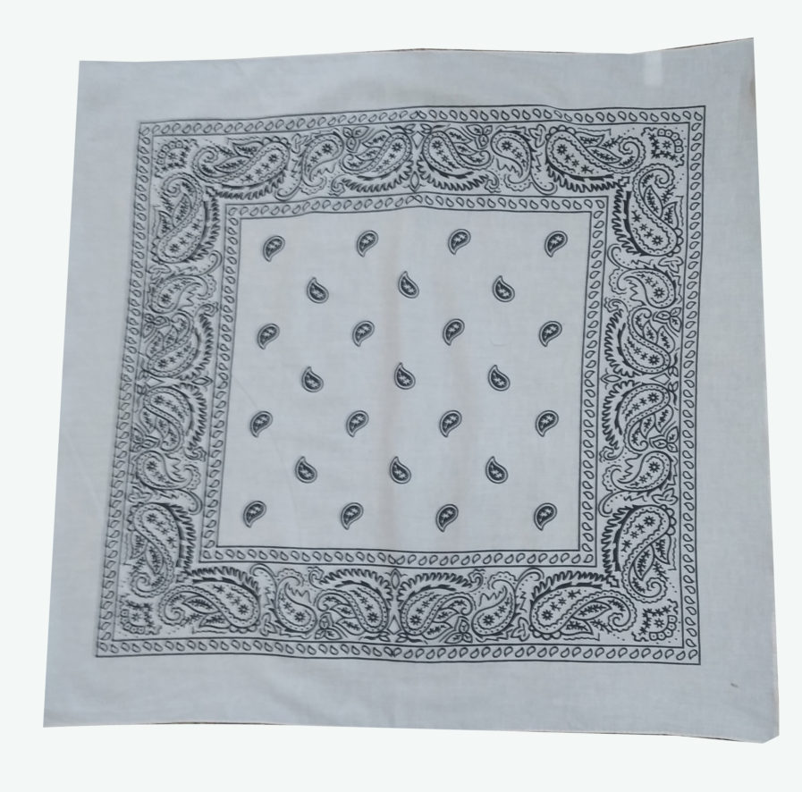 Paisley Printed Bandana