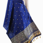 Navy Embroidered Printed Fringes Dupatta