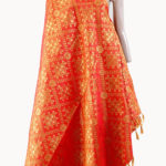Embroidered Fringes Printed Dupatta